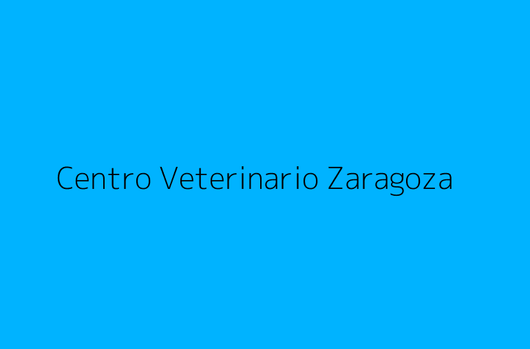 Centro Veterinario Zaragoza
